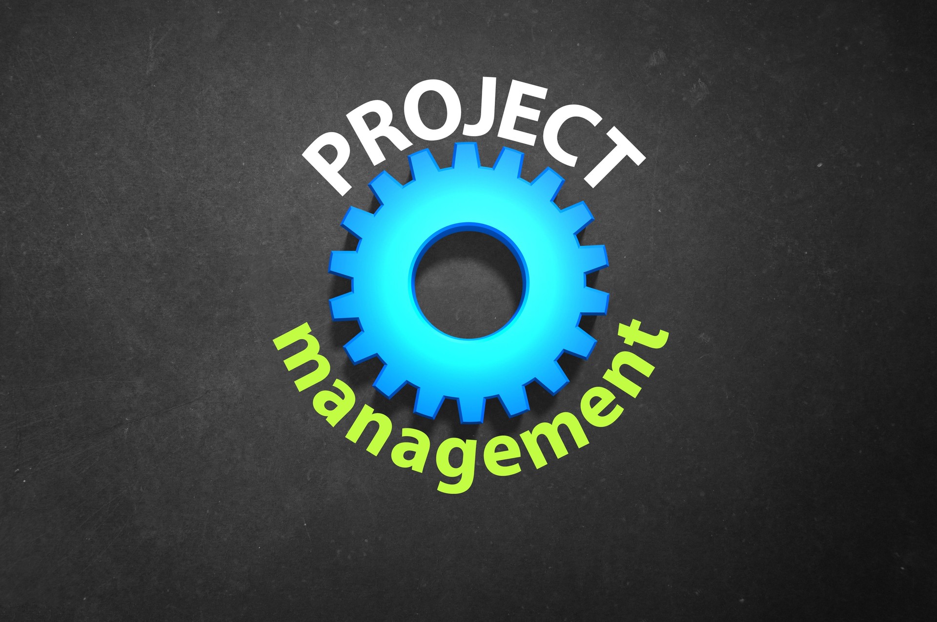 Project Management